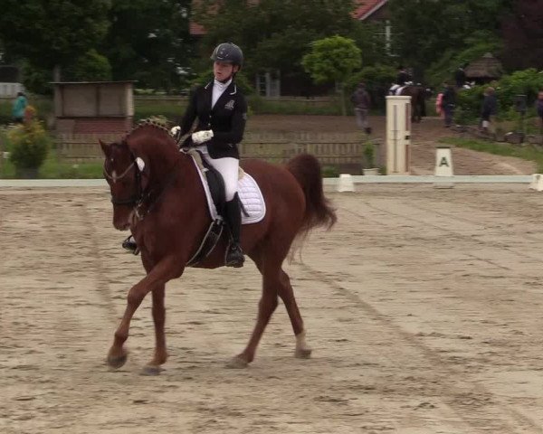 Reitturnier Schülp / Rendsburg 2021
