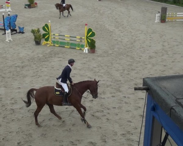 Reitturnier Monheim - Gut Blee 2021