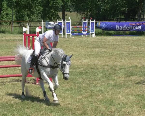 Reitturnier Lahr-Langenwinkel 2021