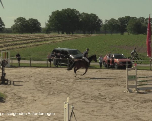Reitturnier Recklinghausen 2021