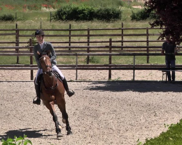 Reitturnier Worms-Pfeddersheim / Reitsportanlage Wittemer 2021