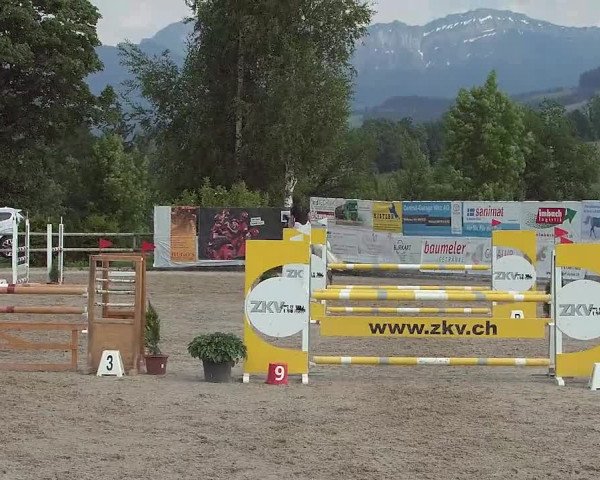 Reitturnier Ruswil 2021