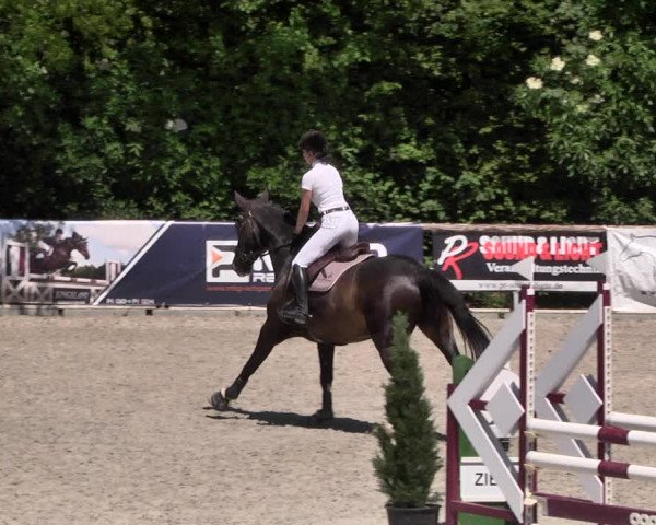 Reitturnier Worms-Pfeddersheim / Reitsportanlage Wittemer 2021