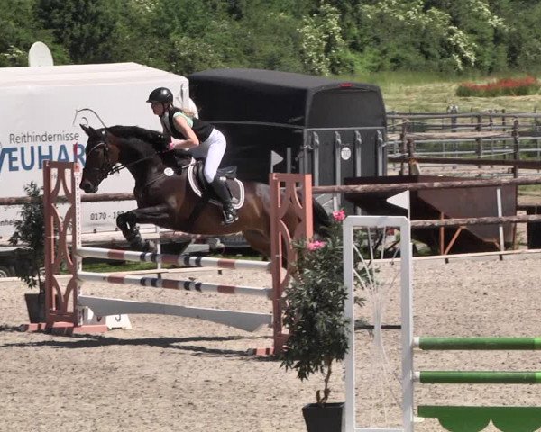 Reitturnier Worms-Pfeddersheim / Reitsportanlage Wittemer 2021