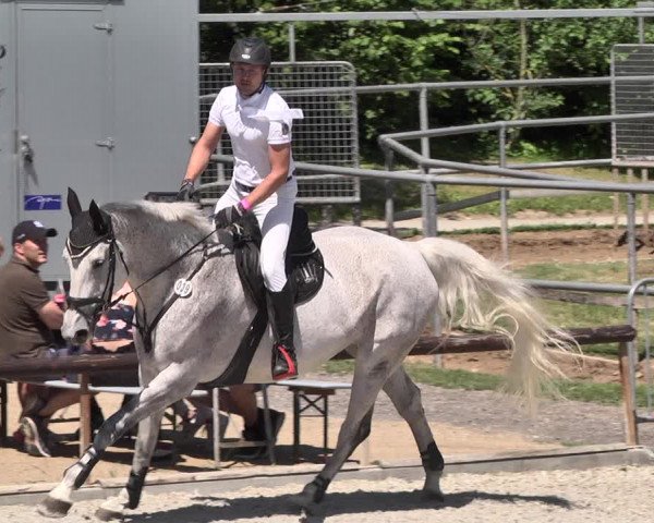 Reitturnier Worms-Pfeddersheim / Reitsportanlage Wittemer 2021