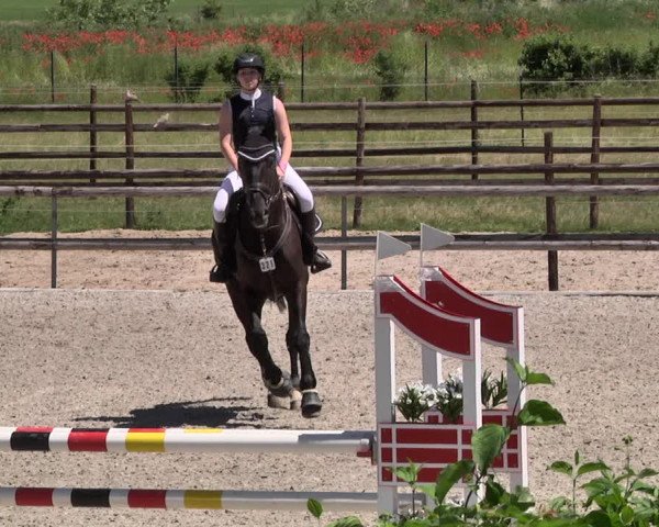 Reitturnier Worms-Pfeddersheim / Reitsportanlage Wittemer 2021