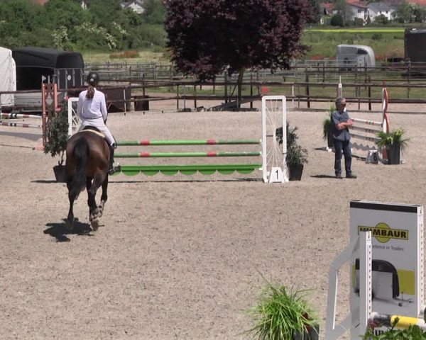 Reitturnier Worms-Pfeddersheim / Reitsportanlage Wittemer 2021