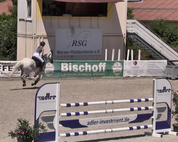 Reitturnier Worms-Pfeddersheim / Reitsportanlage Wittemer 2021