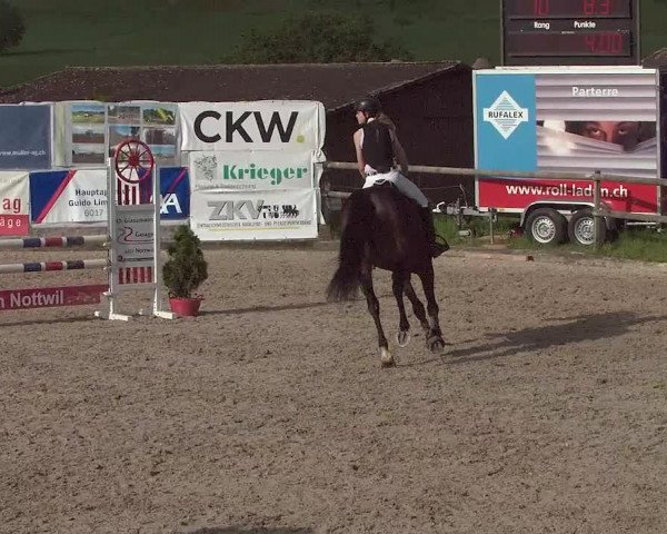 Reitturnier Ruswil 2021