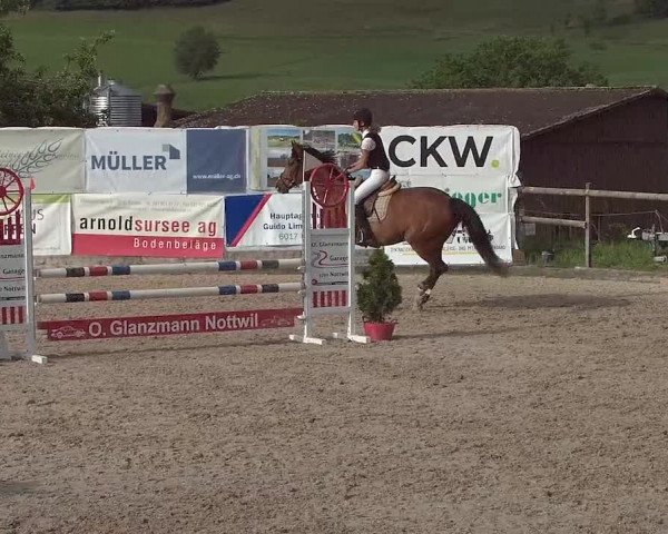 Reitturnier Ruswil 2021