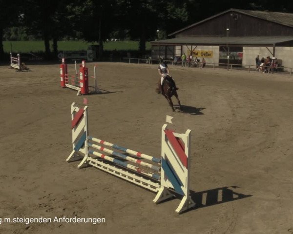 Reitturnier Recklinghausen 2021