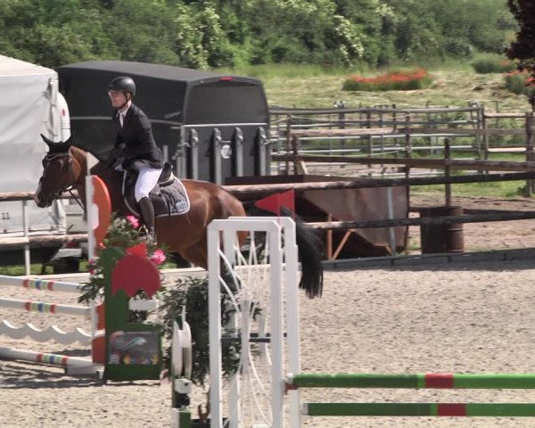 Reitturnier Worms-Pfeddersheim / Reitsportanlage Wittemer 2021