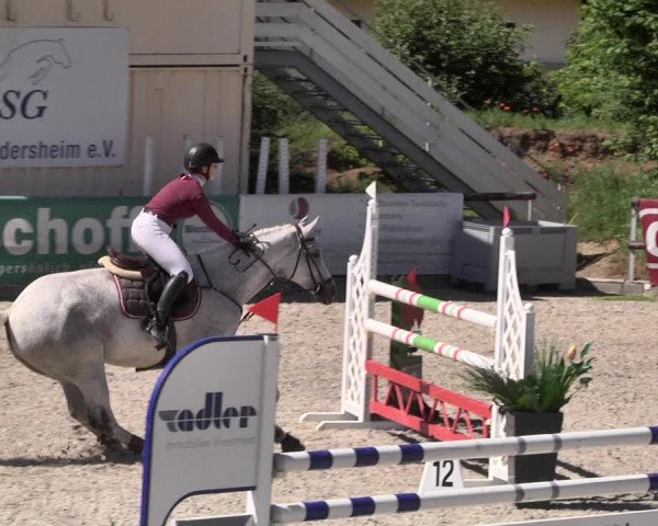 Reitturnier Worms-Pfeddersheim / Reitsportanlage Wittemer 2021