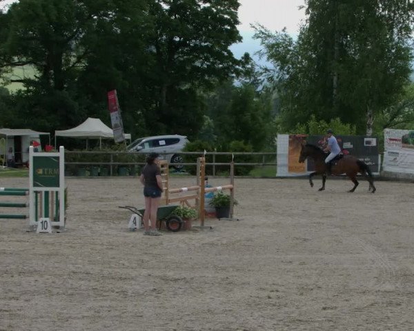 Reitturnier Ruswil 2021