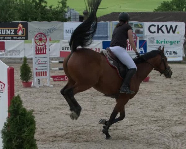 Reitturnier Ruswil 2021