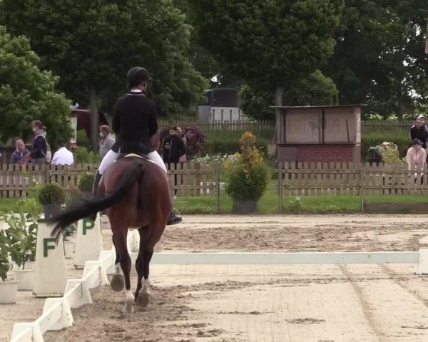 Reitturnier Schülp / Rendsburg 2021