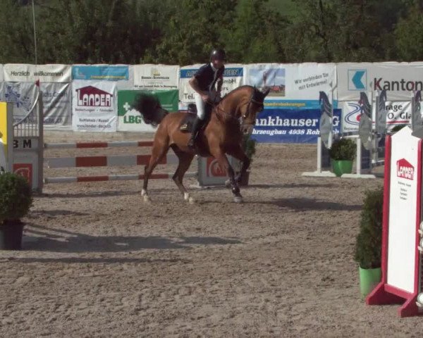 Reitturnier Ruswil 2021