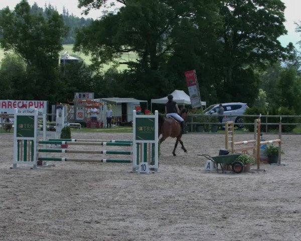 Reitturnier Ruswil 2021
