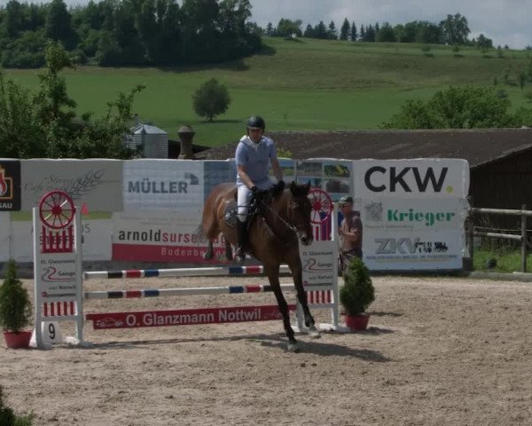 Reitturnier Ruswil 2021