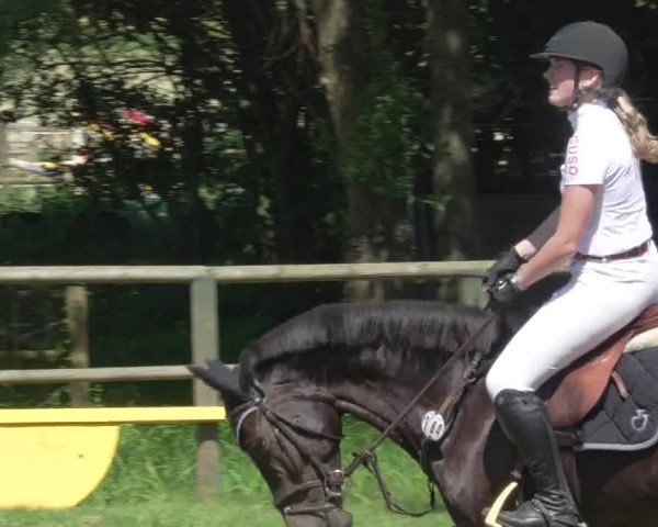 Reitturnier Lahr-Langenwinkel 2021