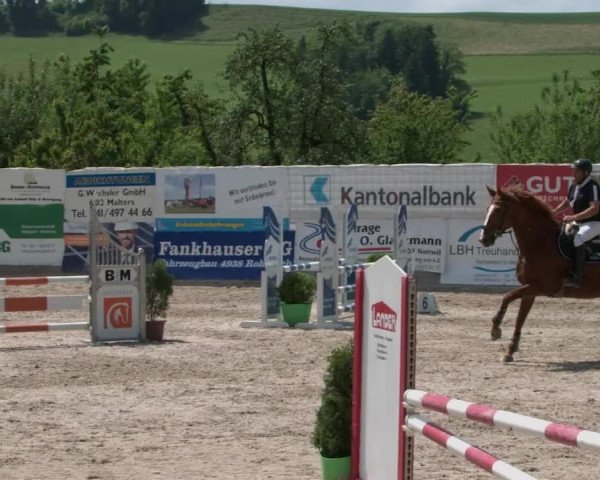 Reitturnier Ruswil 2021