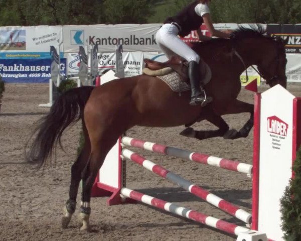 Reitturnier Ruswil 2021
