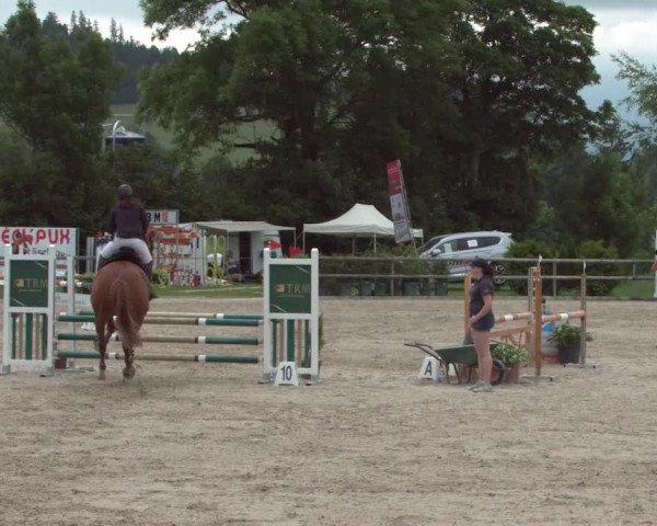 Reitturnier Ruswil 2021