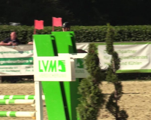 Reitturnier Münster-Handorf 2021
