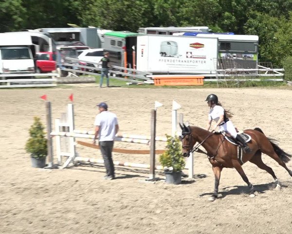 Reitturnier Aesch bei Neftenbach 2021