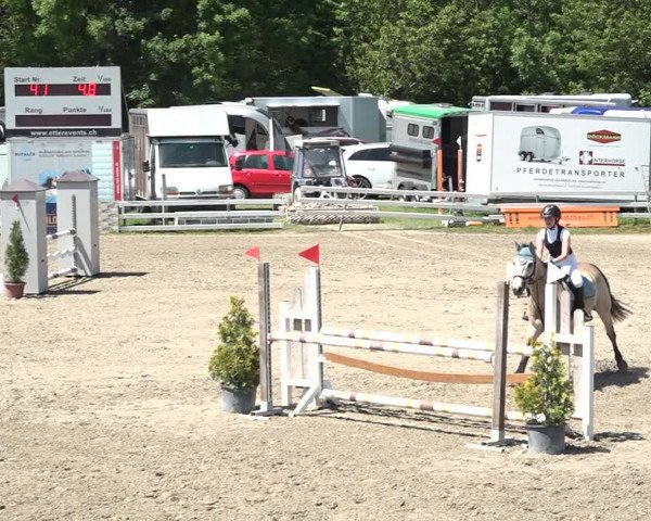 Reitturnier Aesch bei Neftenbach 2021