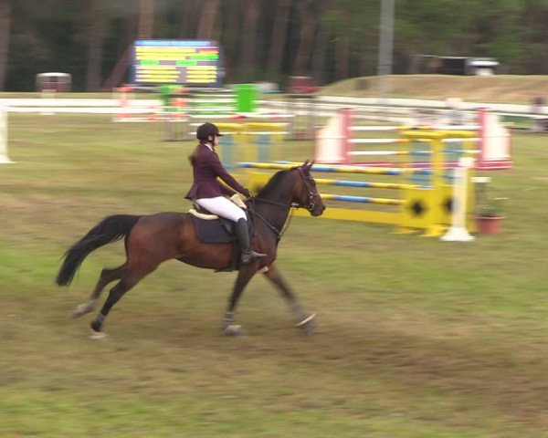 Reitturnier Wörmlitz 2021