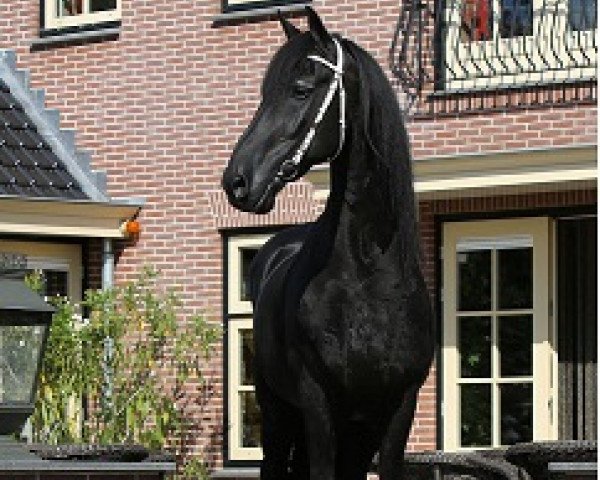stallion Folkert 353 Sport (Friese, 1993, from Feitse 293)