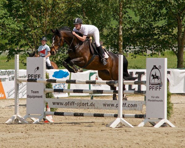 broodmare Celine (Westphalian, 2000, from Cordobes II)
