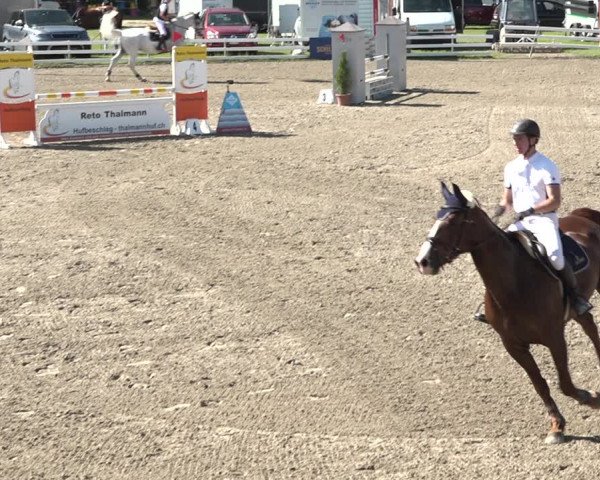 Reitturnier Aesch bei Neftenbach 2021