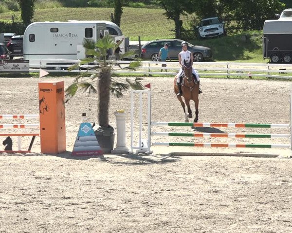 Reitturnier Aesch bei Neftenbach 2021