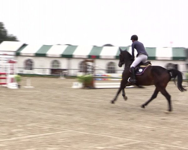 Reitturnier Haltern am See 2021