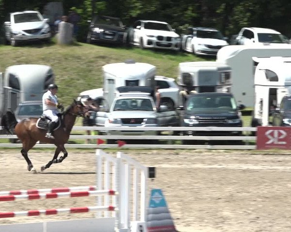 Reitturnier Aesch bei Neftenbach 2021