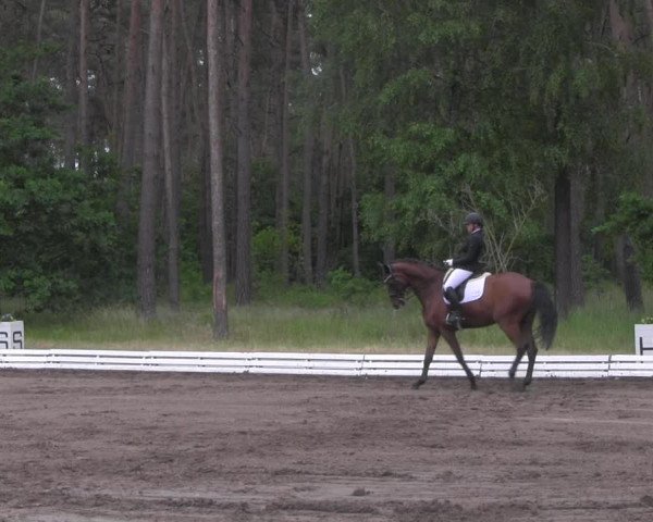 Reitturnier Wörmlitz 2021