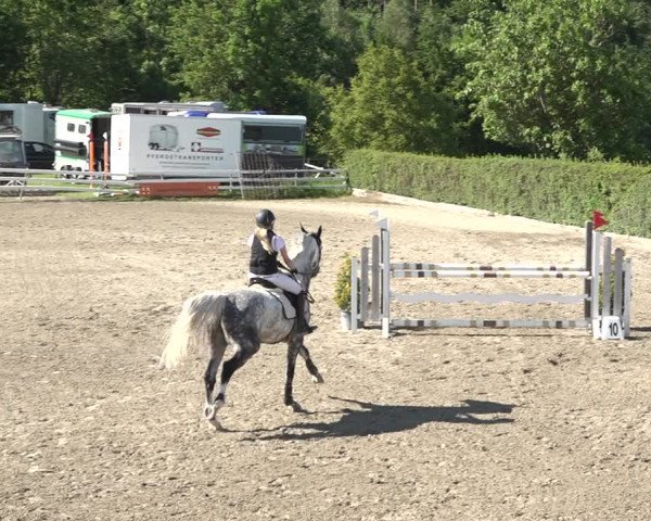 Reitturnier Aesch bei Neftenbach 2021