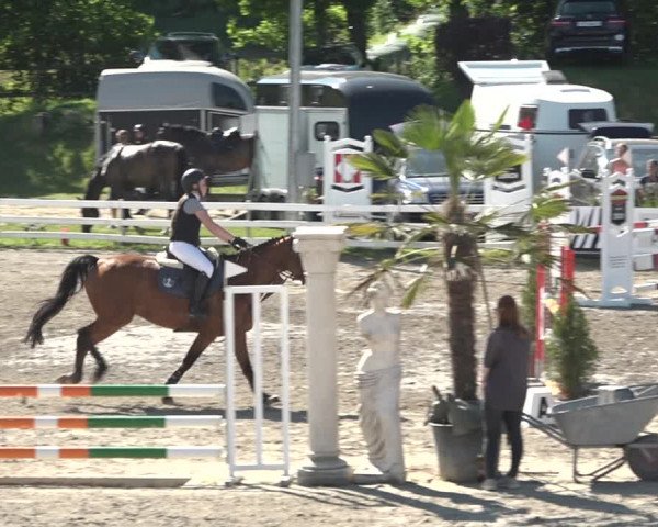 Reitturnier Aesch bei Neftenbach 2021