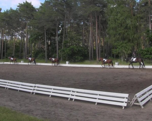 Reitturnier Wörmlitz 2021