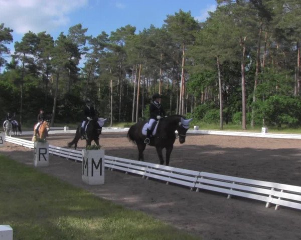Reitturnier Wörmlitz 2021