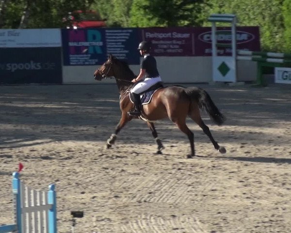 Reitturnier Monheim - Gut Blee 2021