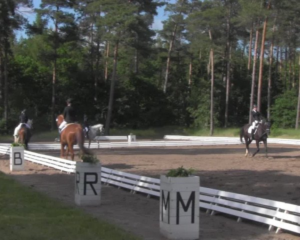Reitturnier Wörmlitz 2021