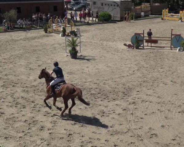 Reitturnier Monheim - Gut Blee 2021