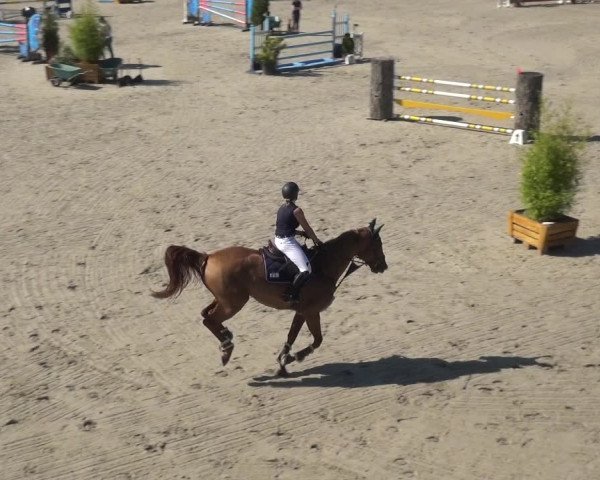 Reitturnier Monheim - Gut Blee 2021