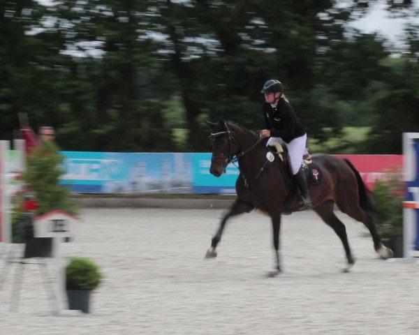 Reitturnier Elmlohe 2021