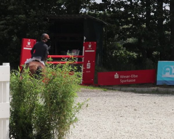Reitturnier Elmlohe 2021