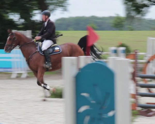 Reitturnier Elmlohe 2021