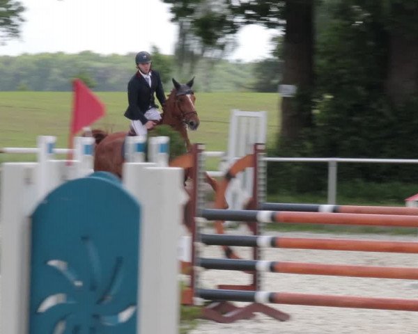 Reitturnier Elmlohe 2021
